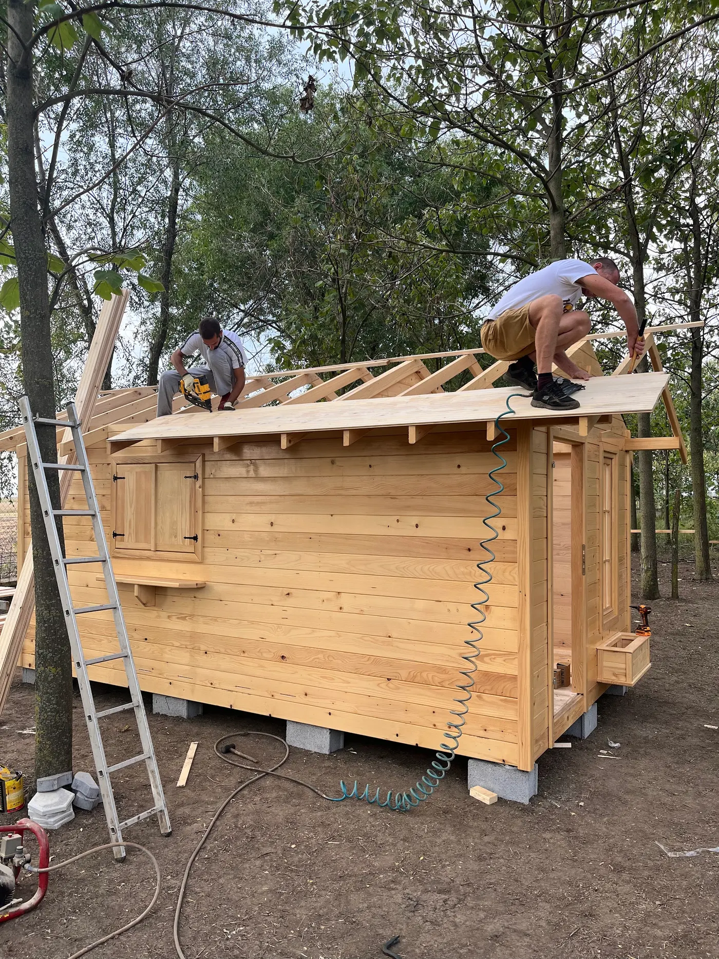 bright wooden garden cabin under trees after construction - Zmajevo - frame 17