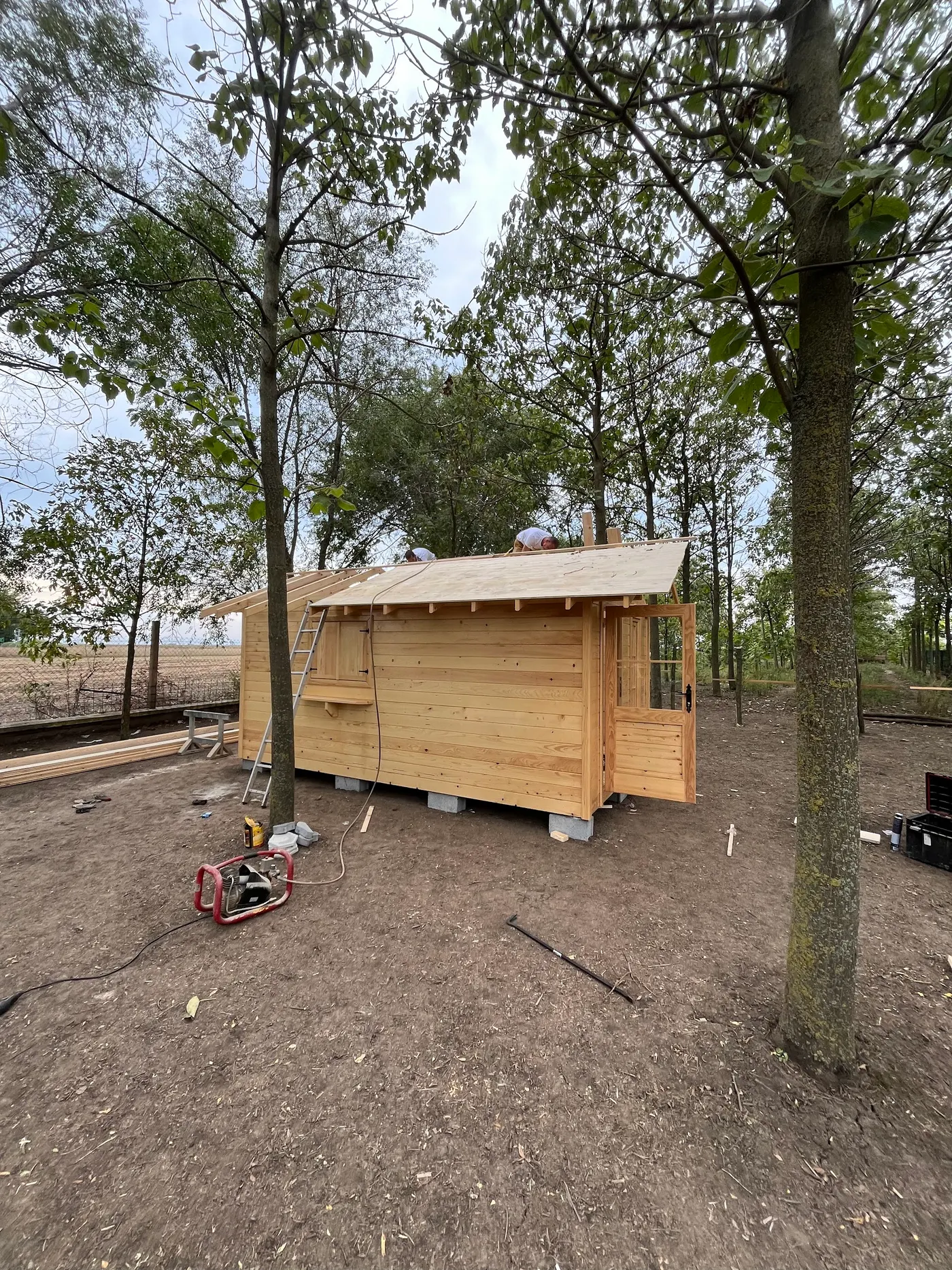 bright wooden garden cabin under trees after construction - Zmajevo - frame 19