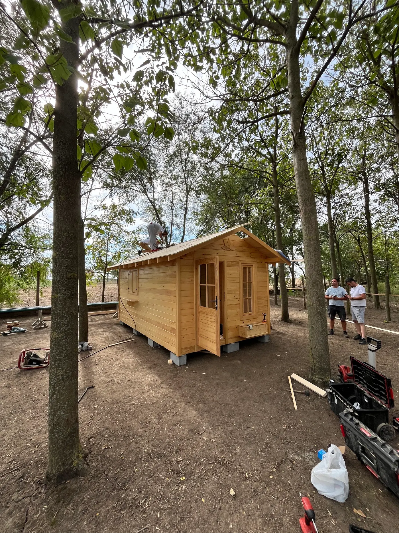 bright wooden garden cabin under trees after construction - Zmajevo - frame 22